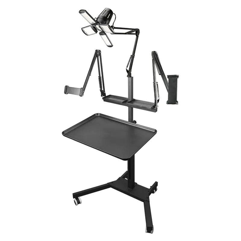 TAIDU Promotion Multi-Functional Double Holder Tattoo Workstation with Light