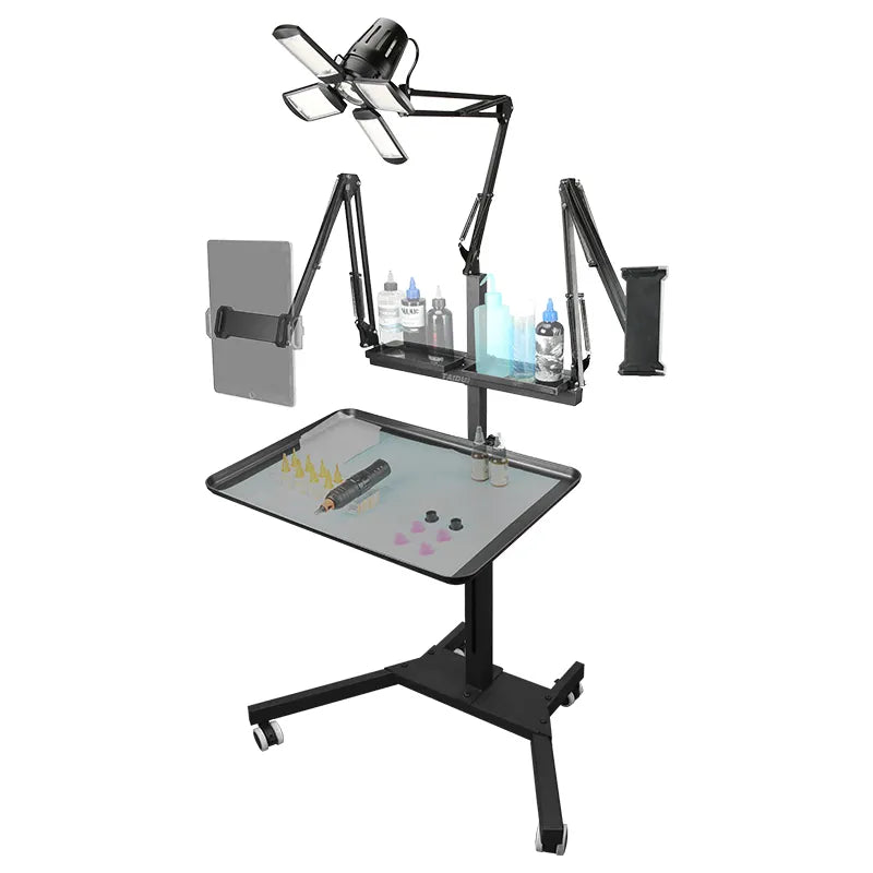 TAIDU Promotion Multi-Functional Double Holder Tattoo Workstation with Light