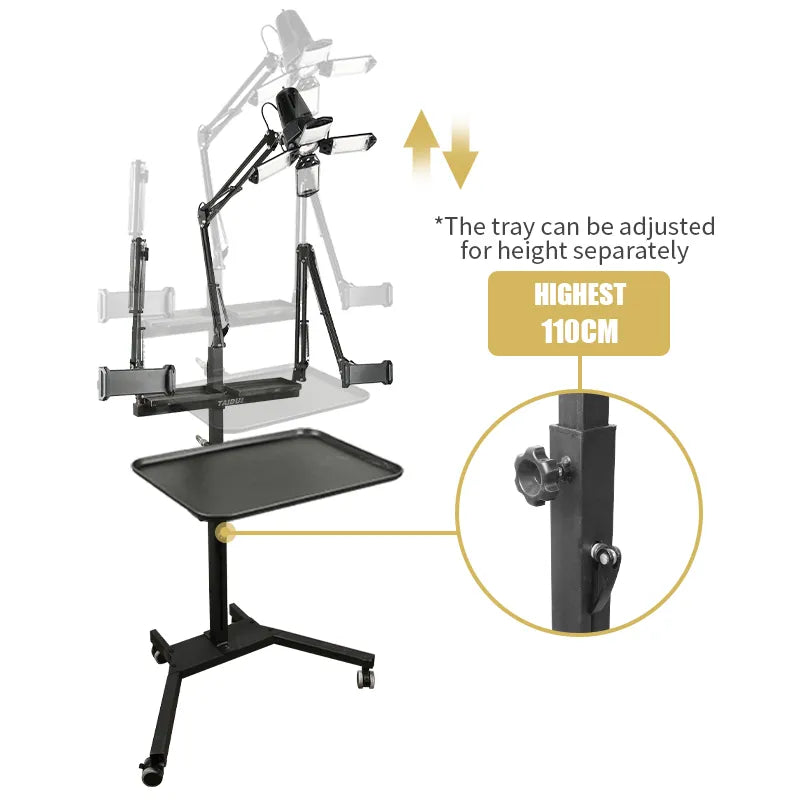 TAIDU Promotion Multi-Functional Double Holder Tattoo Workstation with Light
