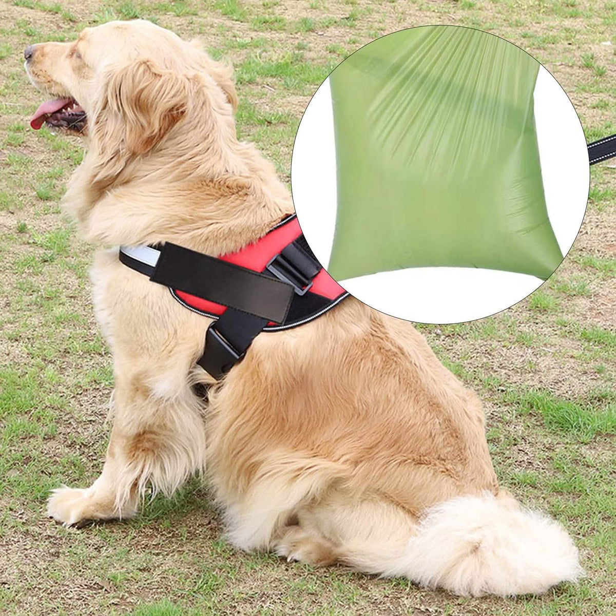 2-Pack: Dog Poop Bag Dispenser with Built-in LED Flashlight