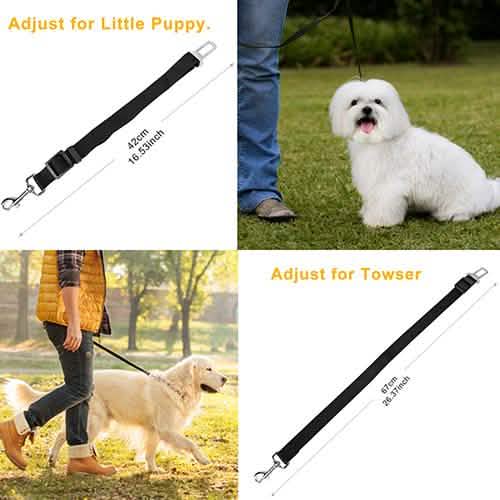 2-Pack: Multipurpose Pet Safety