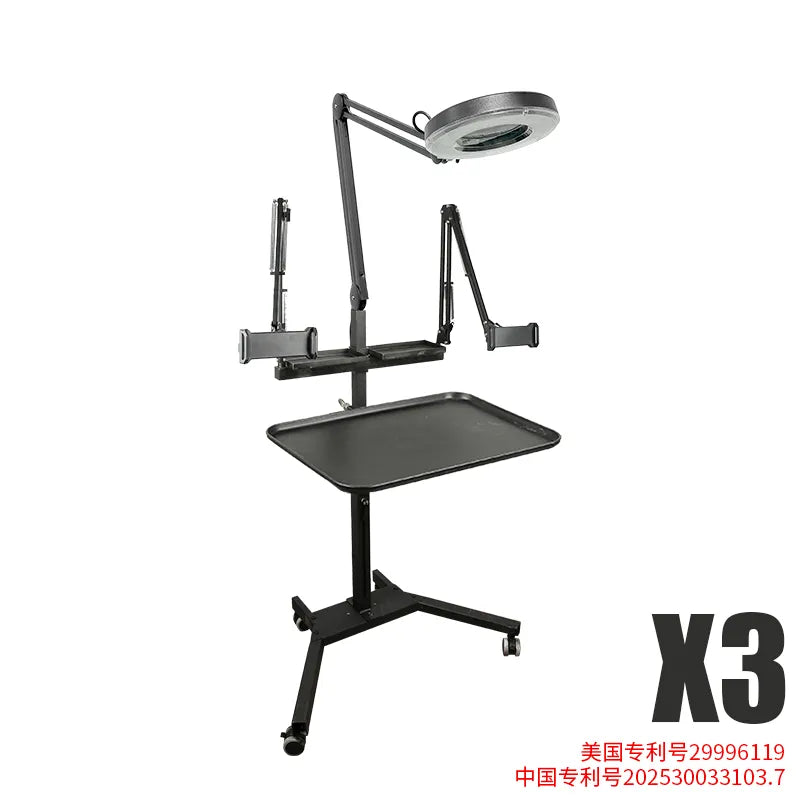 TAIDU Promotion Multi-Functional Double Holder Tattoo Workstation with Light