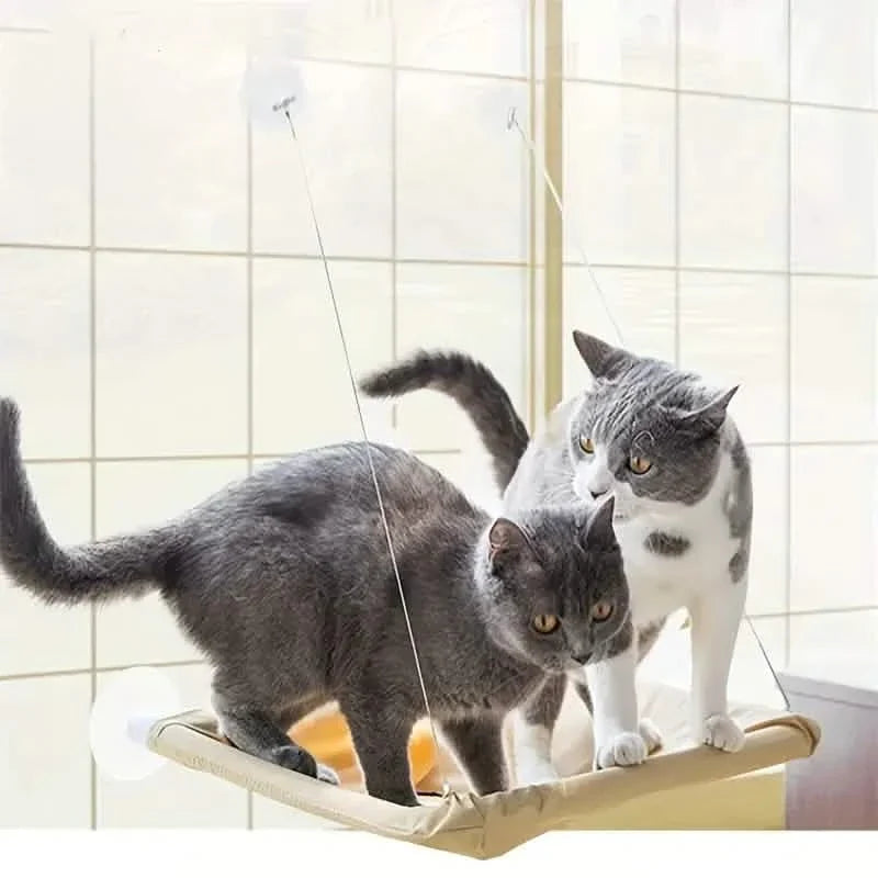 360¬∞ Cat Window Hammock: A Space-Saving Sunny Seat for Indoor Cats!