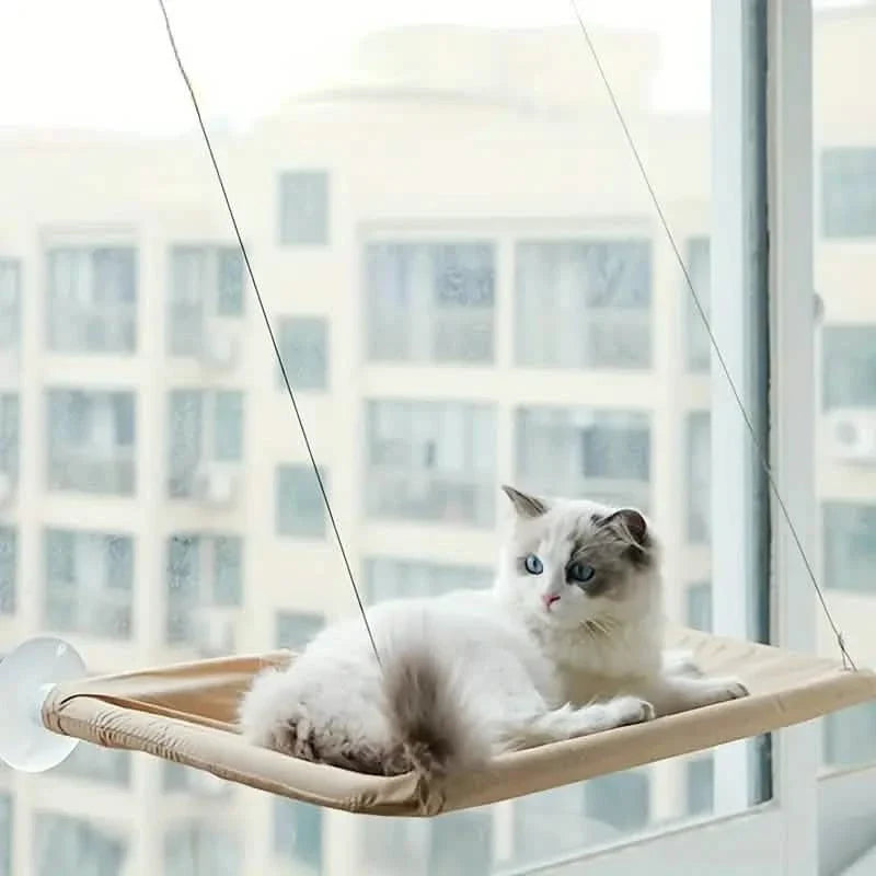 360¬∞ Cat Window Hammock: A Space-Saving Sunny Seat for Indoor Cats!