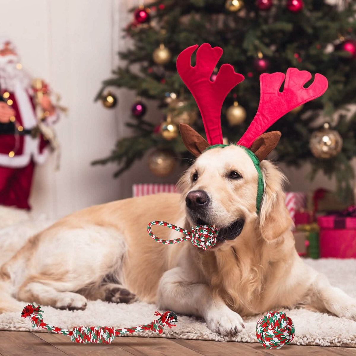 5-Pieces: Christmas Dog Rope Chew Toys