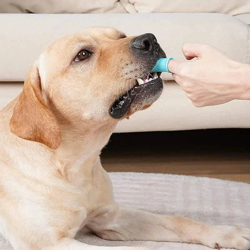 5-Pieces: Super Soft Pet Finger Toothbrush Teeth Cleaning Silicone Tooth Brush