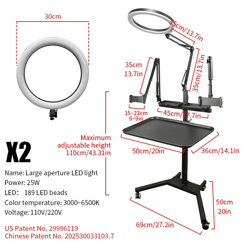 TAIDU Promotion Multi-Functional Double Holder Tattoo Workstation with Light