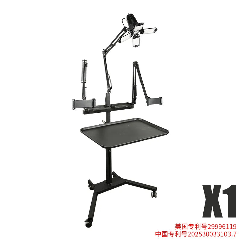 TAIDU Promotion Multi-Functional Double Holder Tattoo Workstation with Light