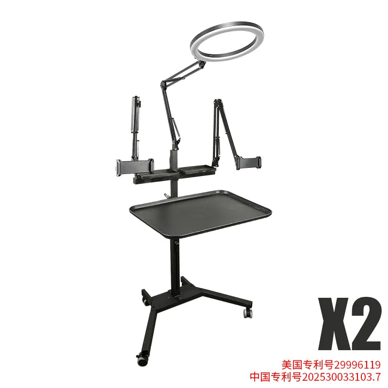 TAIDU Promotion Multi-Functional Double Holder Tattoo Workstation with Light