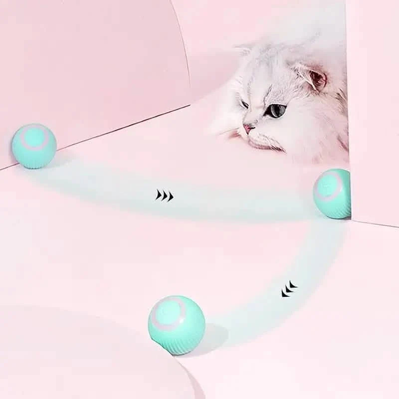 Found Notice Smart Interactive Cat Toy