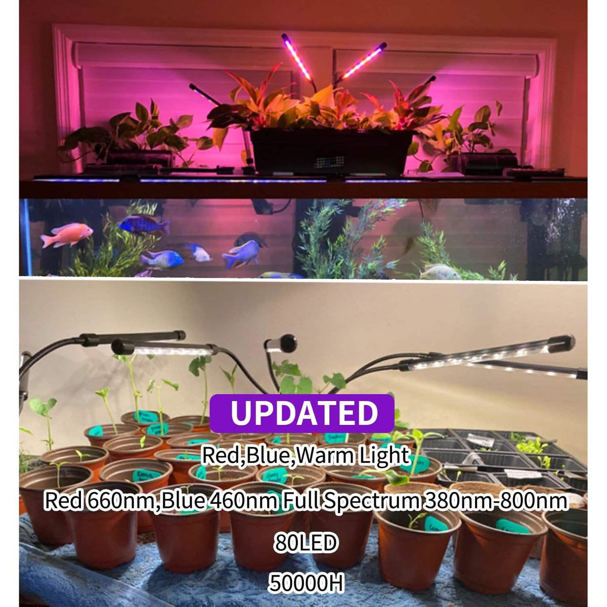 LEOTER Grow Light for Indoor Plants