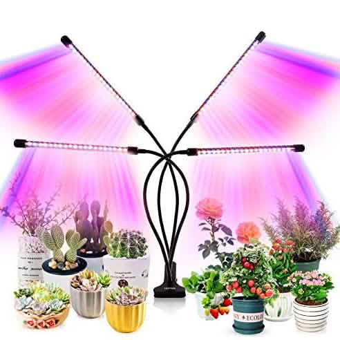 LEOTER Grow Light for Indoor Plants