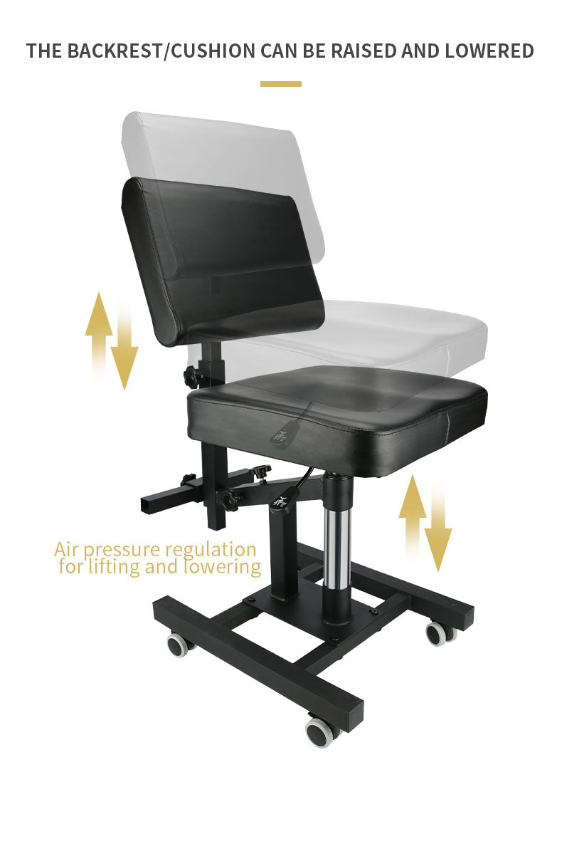 TAIDU Flash Sale New Upgraded Pneumatic Tattoo Chair Liftable