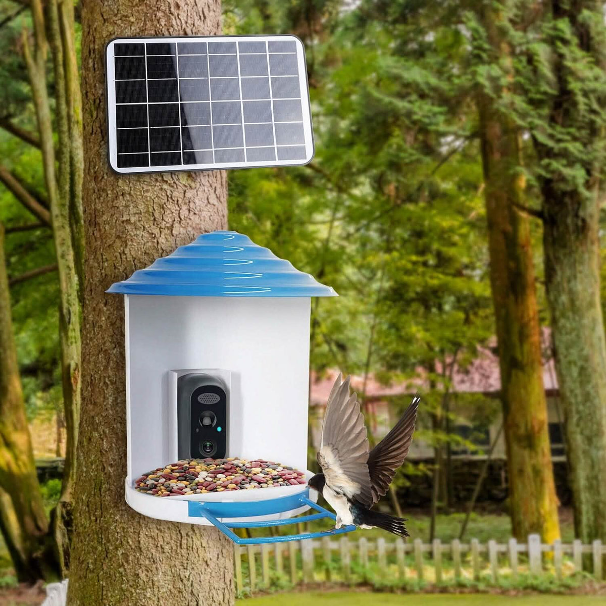 Smart Bird Feeder with Solar Powered Camera 1080P HD AI Identify PIR